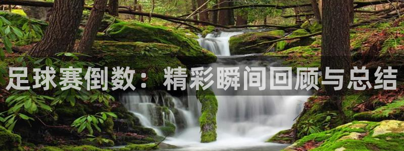 nba直播极速体育jrs