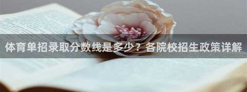 极速体育 nba